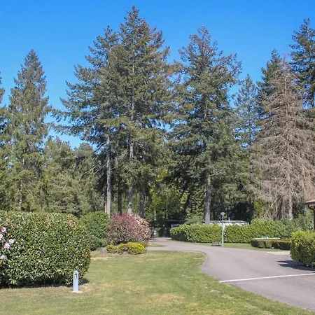 Pet Friendly In With Kitchen * Vorden