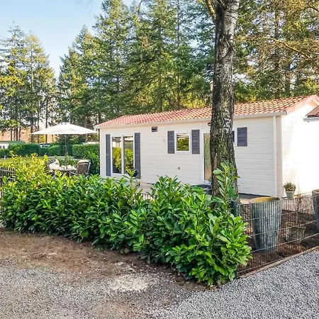 Huisdiervriendelijk In Met Vakantiehuis Vorden