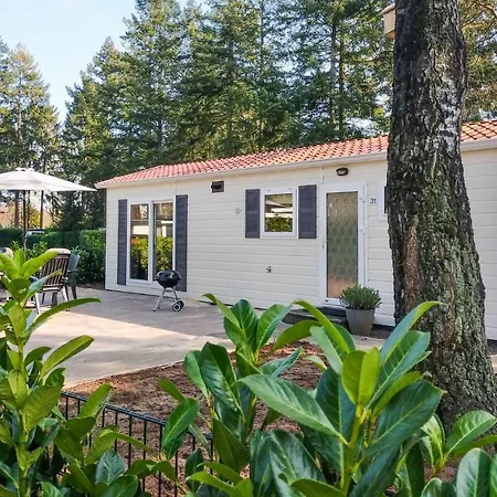 Pet Friendly In With Kitchen *