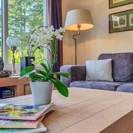 Pet Friendly In With Kitchen *