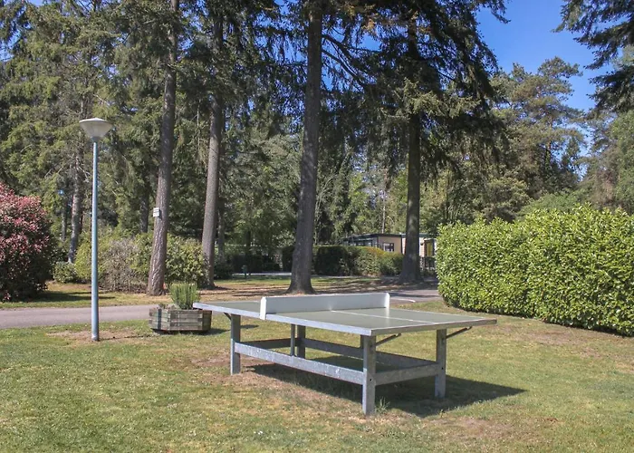 Pet Friendly In With Wifi Semesterbostad